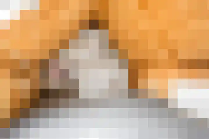 Belle van Zuylenlaan 17 Heemstede thumbnail 28