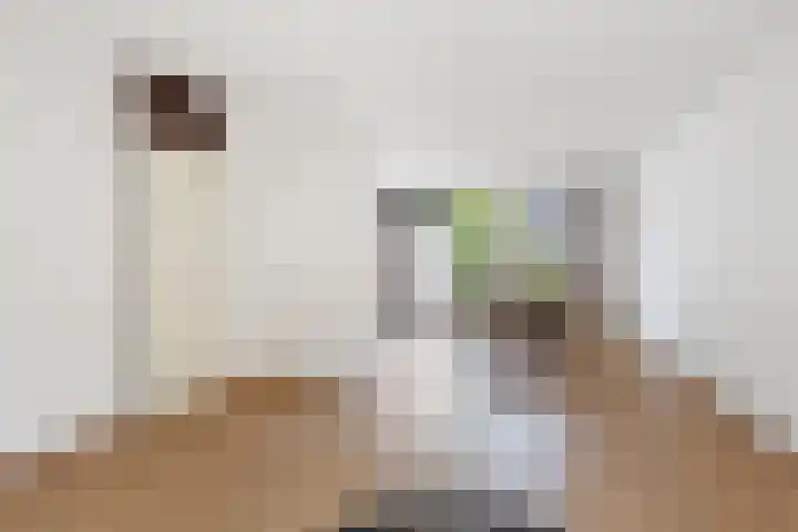 Belle van Zuylenlaan 17 Heemstede thumbnail 5