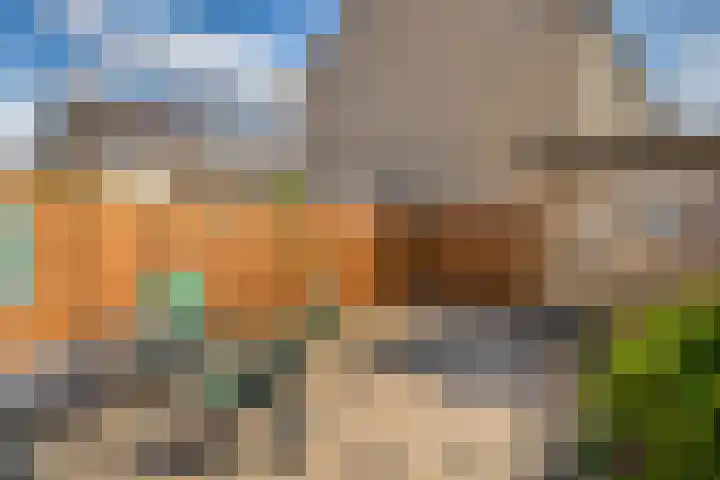Belle van Zuylenlaan 19 Pijnacker thumbnail 11