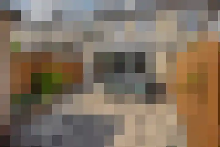 Belle van Zuylenlaan 19 Pijnacker thumbnail 12