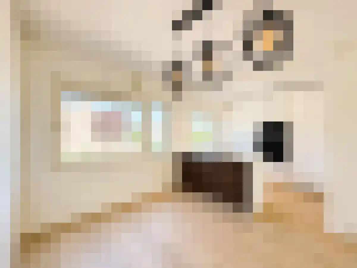 Belle van Zuylenlaan 61 Amstelveen thumbnail 4