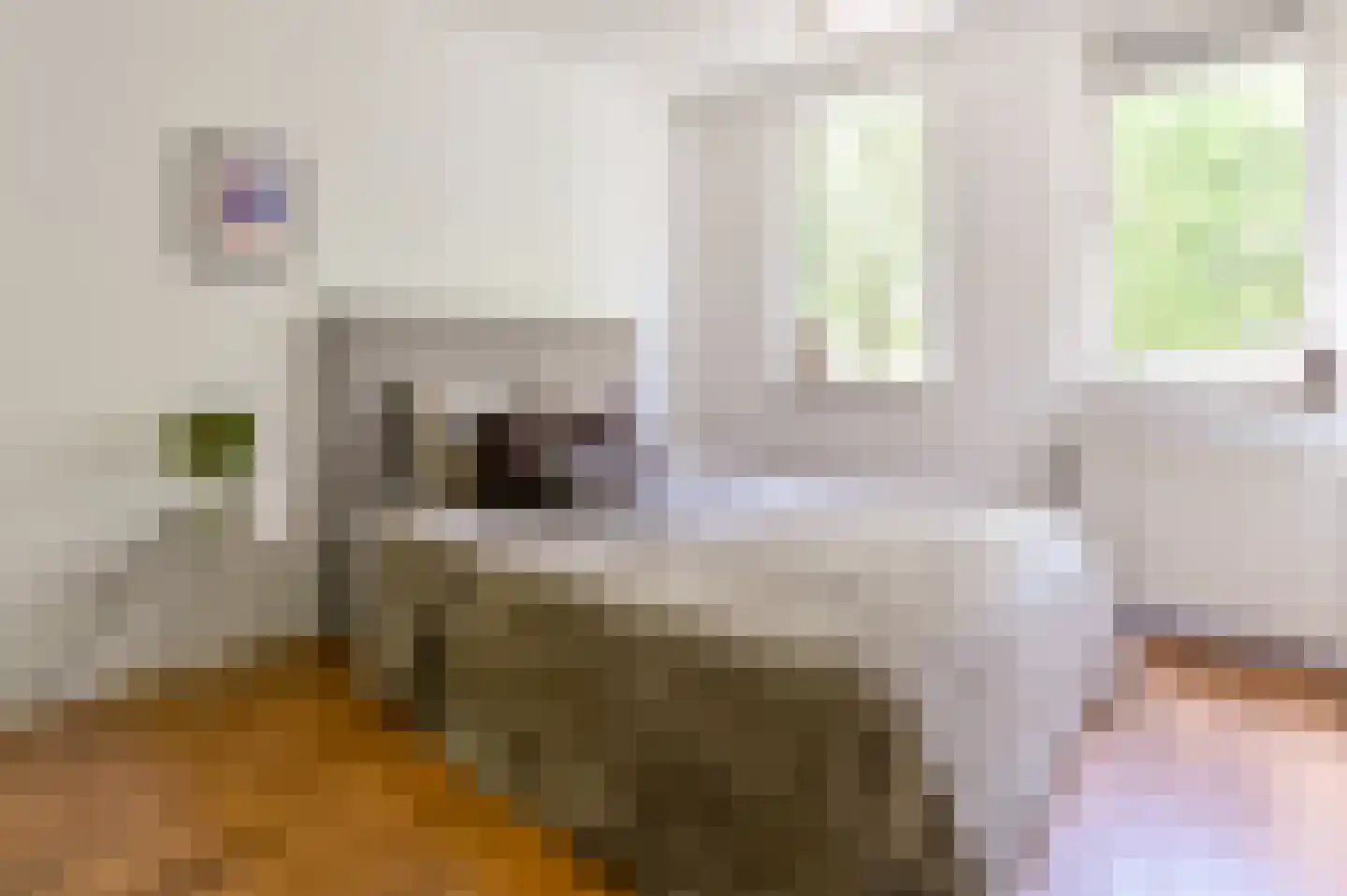 Belle van Zuylenlaan 7 Heemstede thumbnail 13