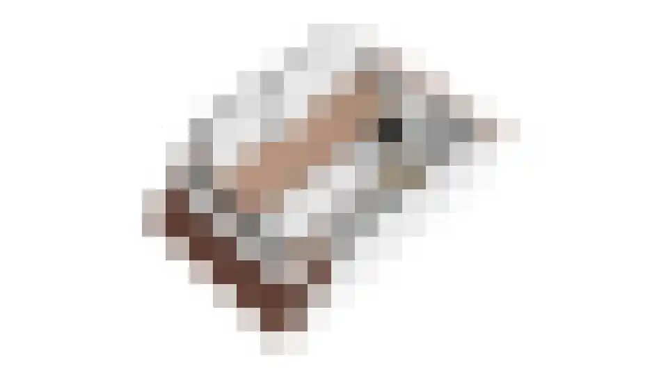 Belle van Zuylenlaan 7 Heemstede thumbnail 58
