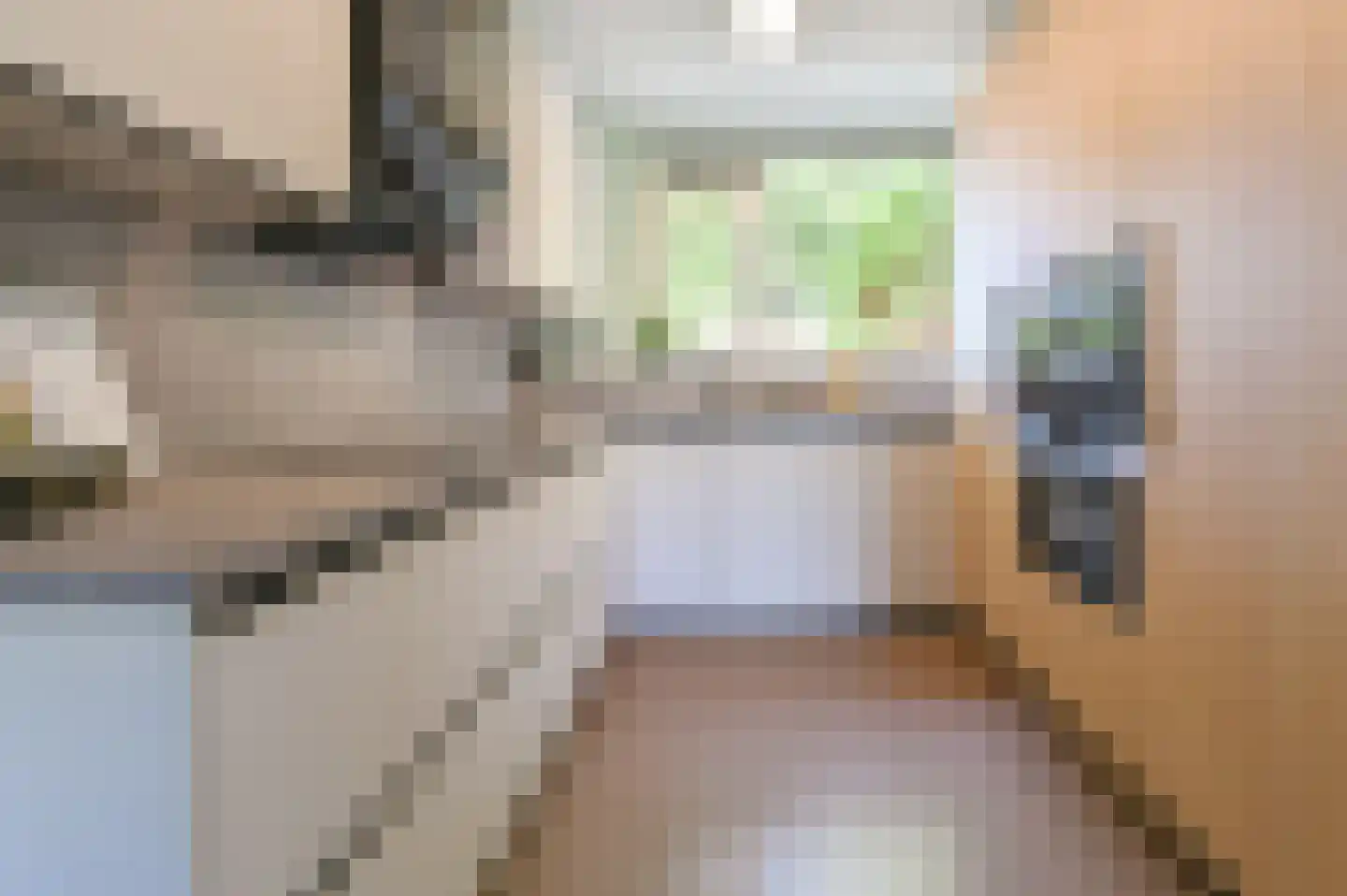 Belle van Zuylenlaan 7 Heemstede thumbnail 8