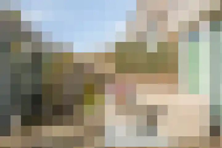 Belle van Zuylenlaan 87 Castricum thumbnail 13