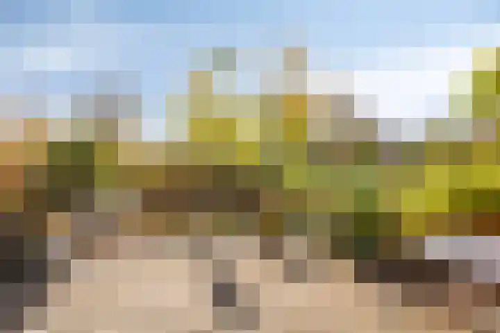 Belle van Zuylenlaan 87 Castricum thumbnail 15