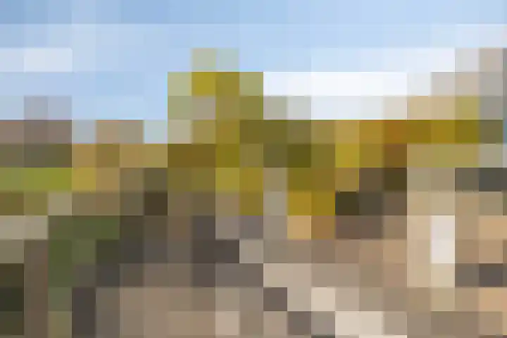 Belle van Zuylenlaan 87 Castricum thumbnail 16