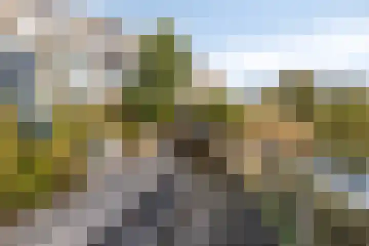 Belle van Zuylenlaan 87 Castricum thumbnail 17