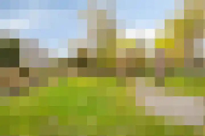 Belle van Zuylenlaan 87 Castricum thumbnail 23