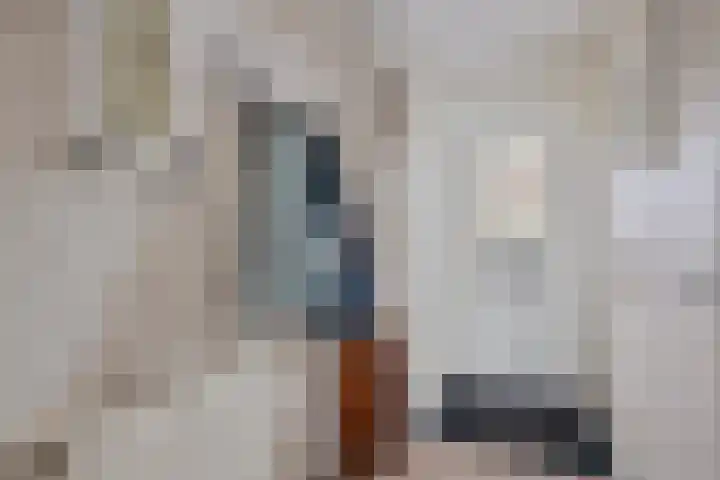 Belle van Zuylenlaan 87 Castricum thumbnail 8