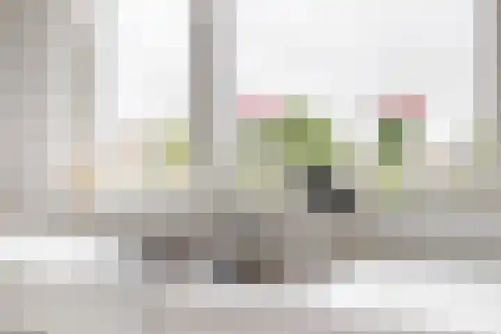 Belle van Zuylenlaan 97 Castricum thumbnail 15