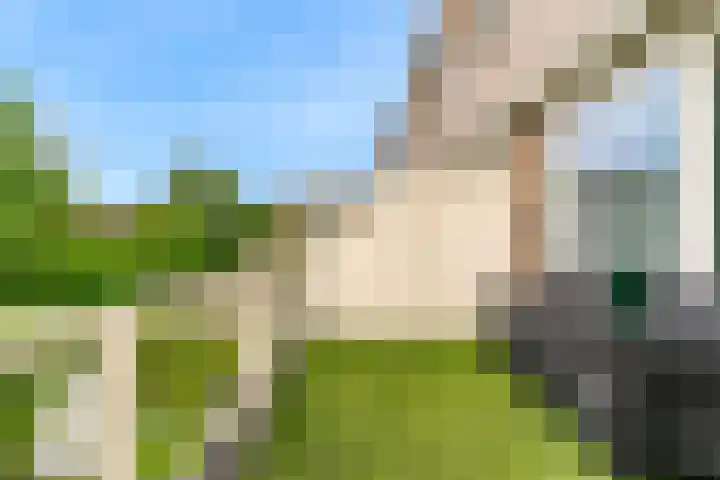 Belle van Zuylenlaan 97 Castricum thumbnail 32