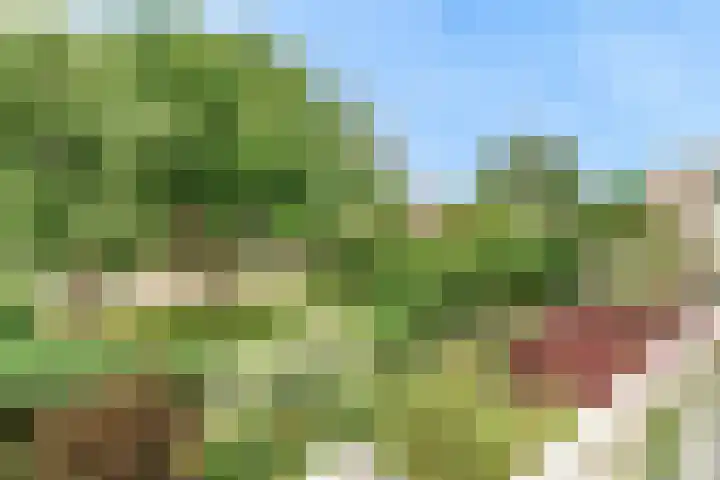 Belle van Zuylenlaan 97 Castricum thumbnail 33