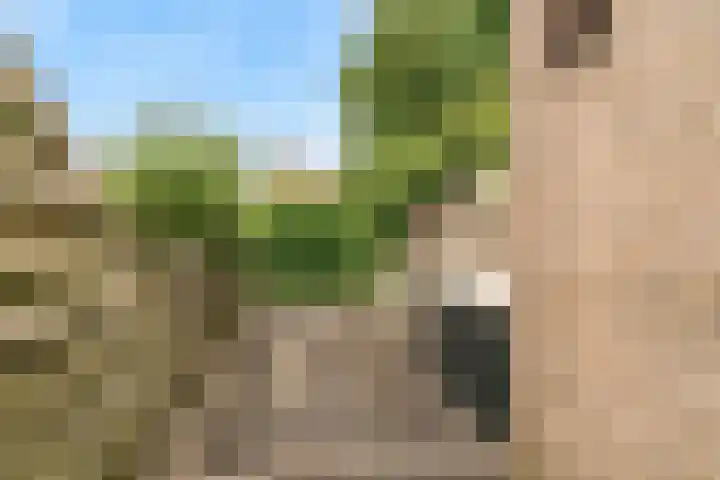 Belle van Zuylenlaan 97 Castricum thumbnail 35