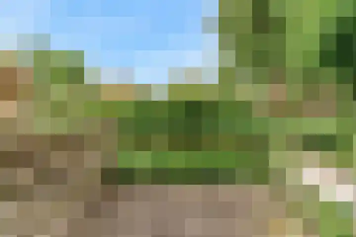 Belle van Zuylenlaan 97 Castricum thumbnail 36