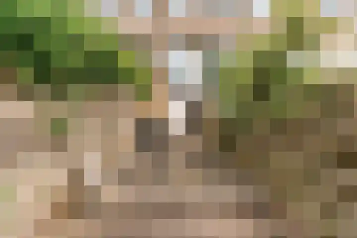 Belle van Zuylenlaan 97 Castricum thumbnail 37