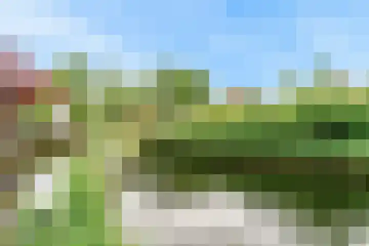 Belle van Zuylenlaan 97 Castricum thumbnail 38