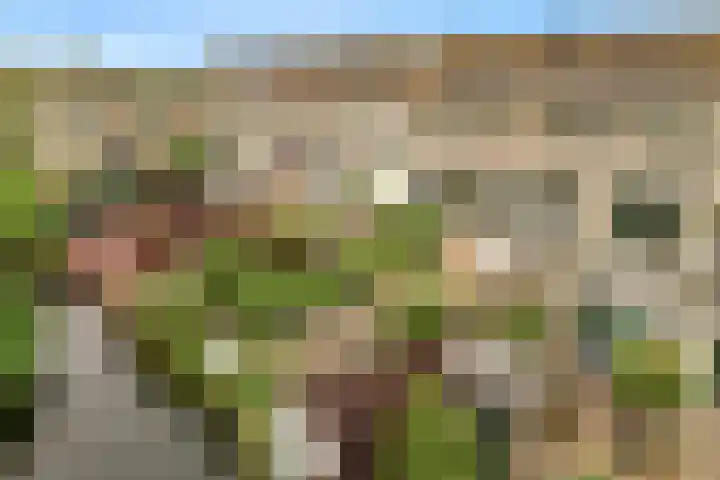 Belle van Zuylenlaan 97 Castricum thumbnail 41