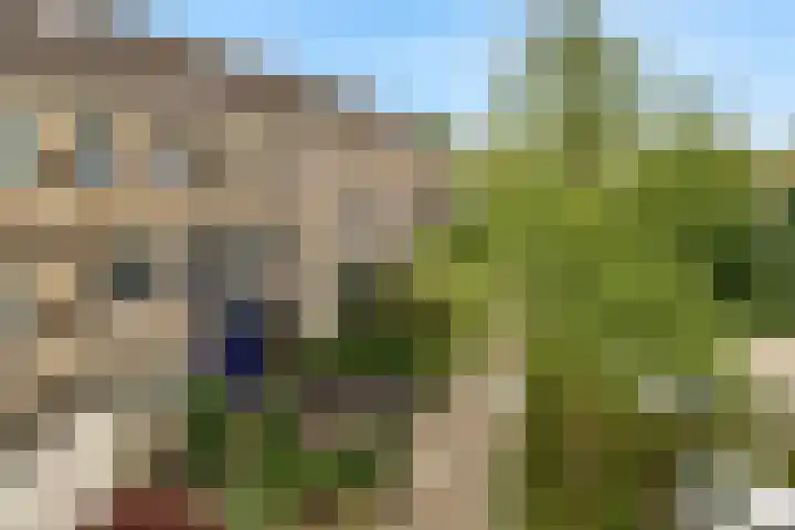 Belle van Zuylenlaan 97 Castricum thumbnail 45