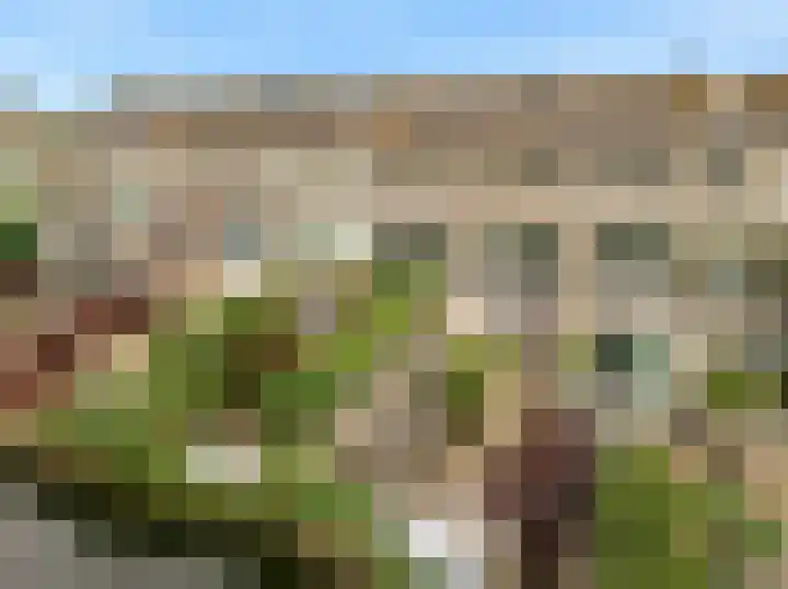 Belle van Zuylenlaan 97 Castricum thumbnail 53