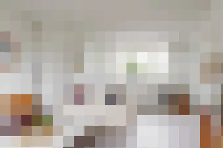 Belle van Zuylenlaan 97 Castricum thumbnail 9