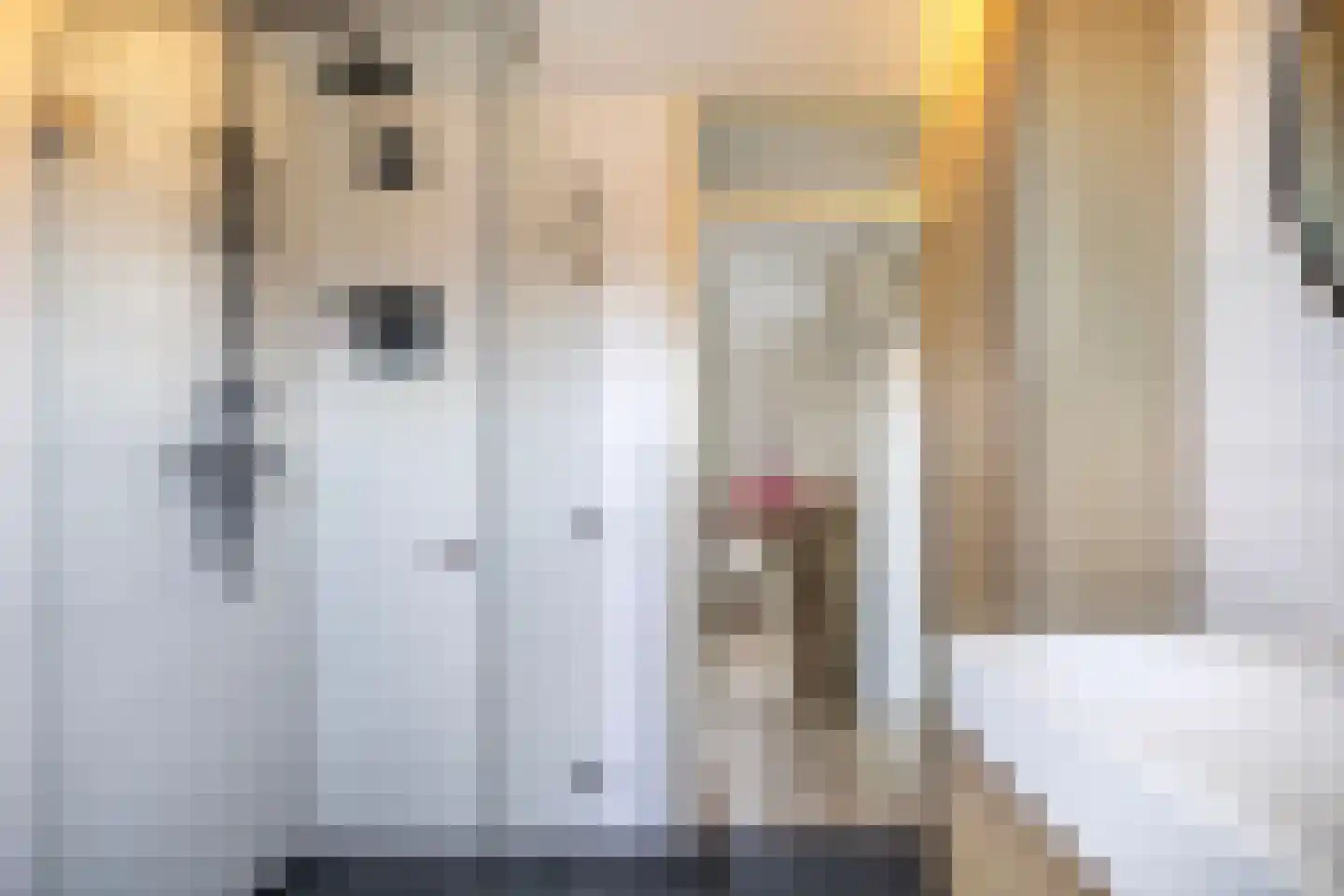 Belle van Zuylenstraat 1 Arnhem thumbnail 17