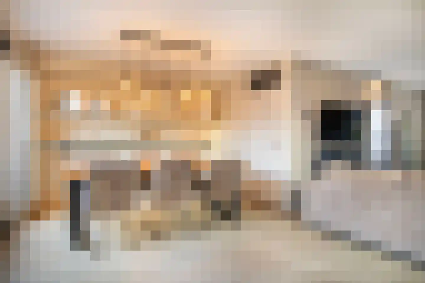 Belle van Zuylenstraat 1 Arnhem thumbnail 7