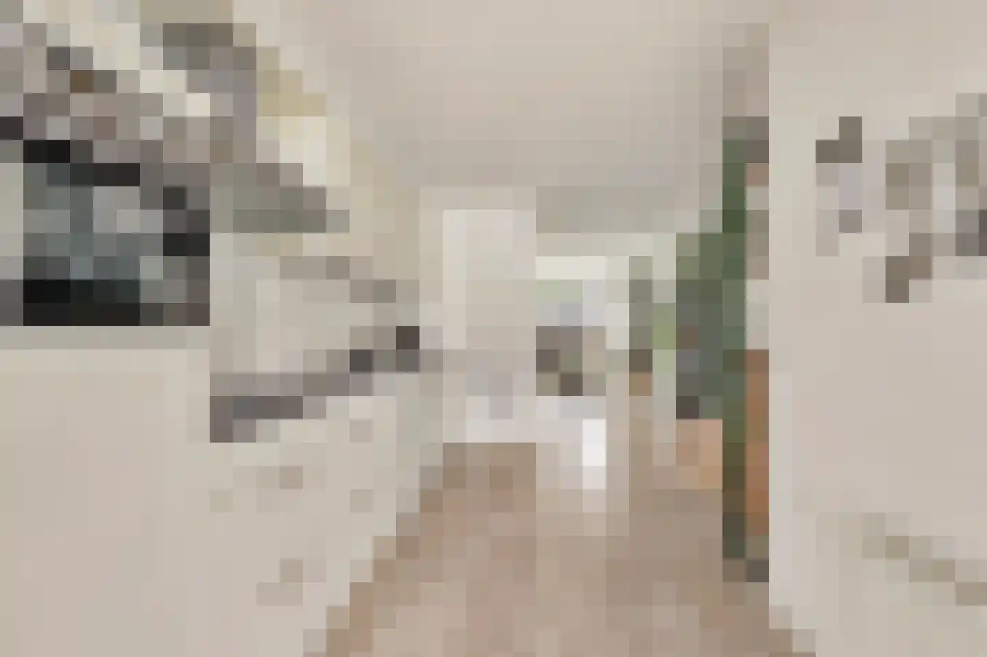 Belle van Zuylenstraat 11 Arnhem thumbnail 13
