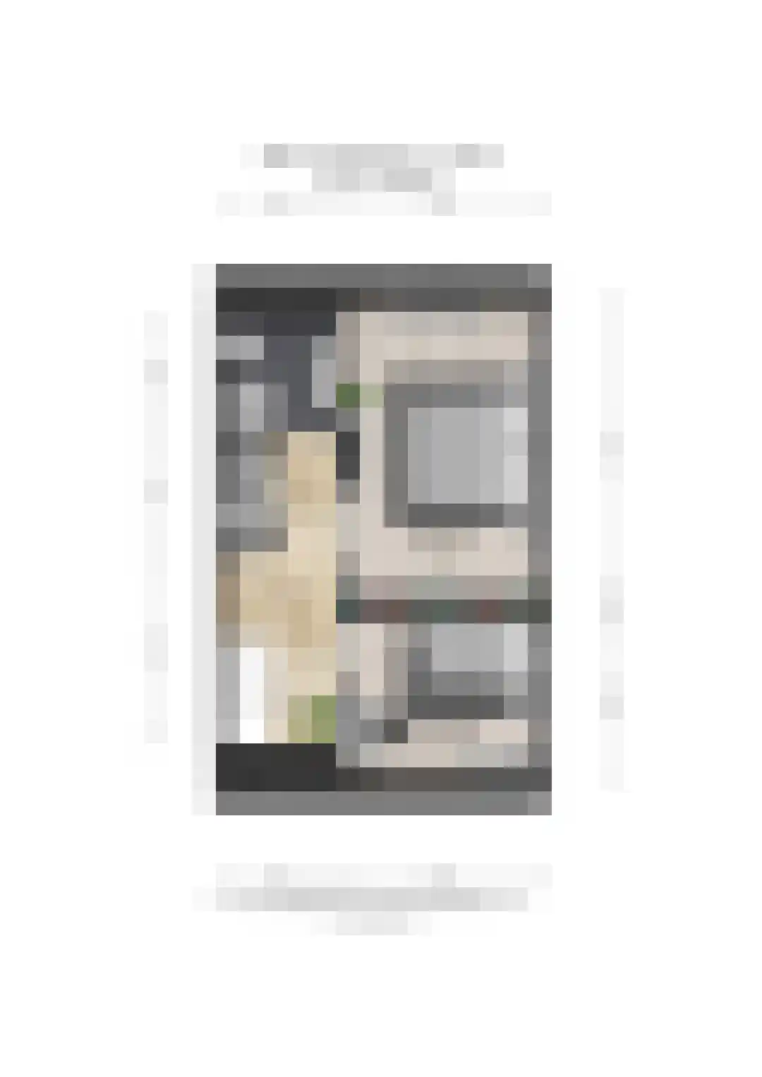 Belle van Zuylenstraat 11 Arnhem thumbnail 37