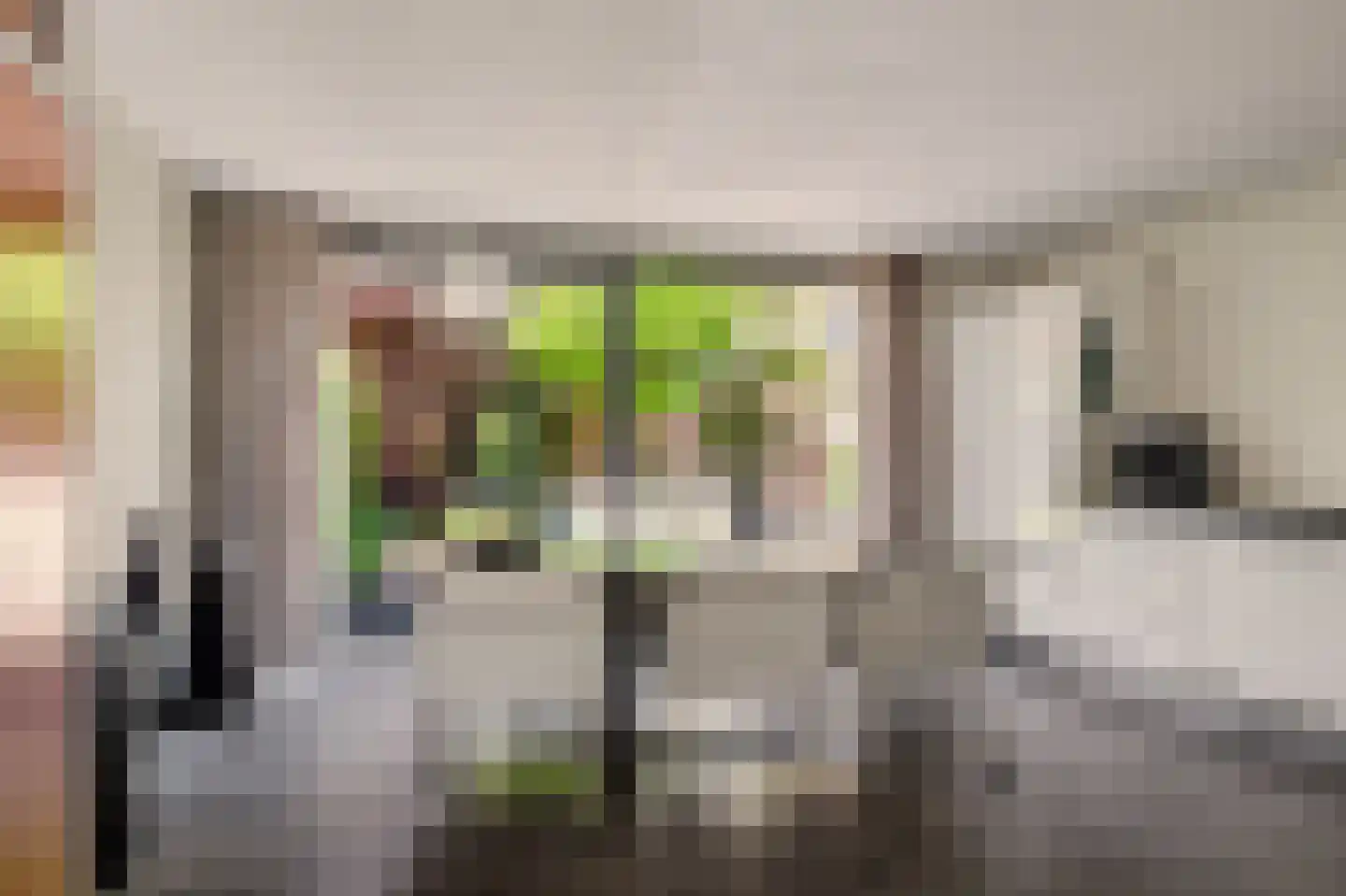 Belle van Zuylenstraat 2 Gorinchem thumbnail 4