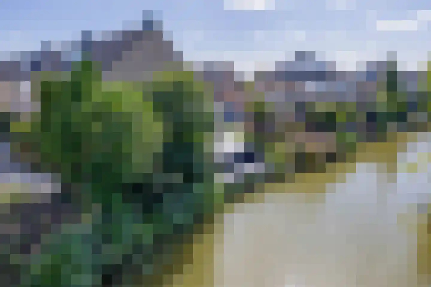Belle van Zuylenstraat 2 Spijkenisse thumbnail 47