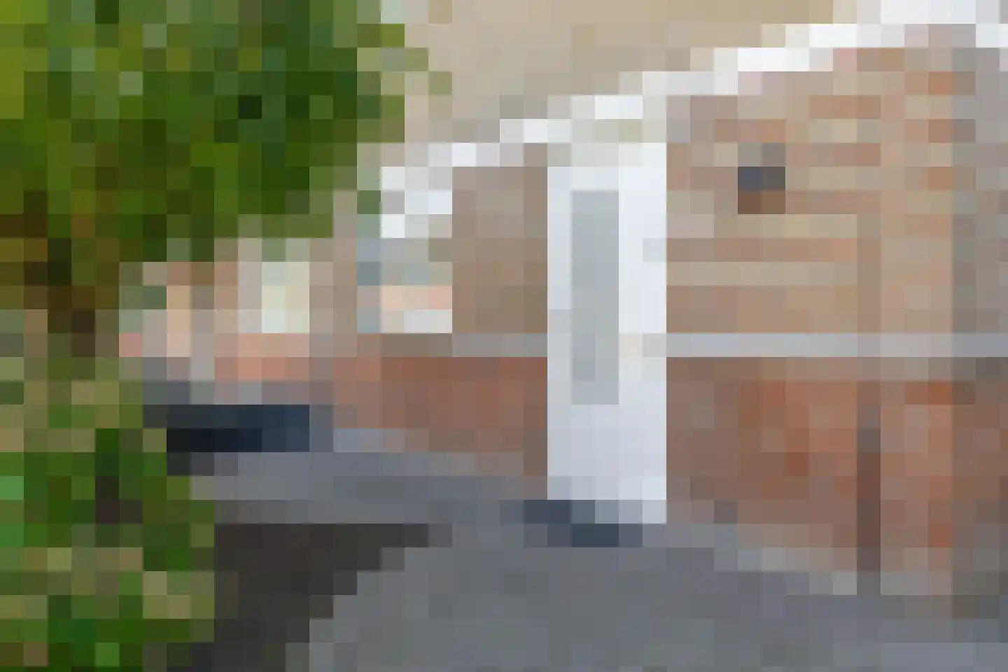 Belle van Zuylenstraat 2 Spijkenisse thumbnail 9