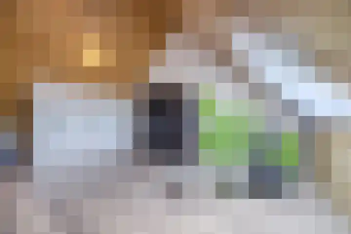 Belle van Zuylenstraat 37 Rijen thumbnail 37