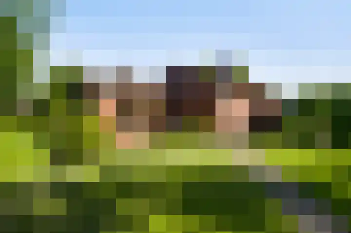 Belleboom 19 Roermond thumbnail 4