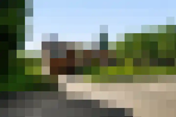 Belleboom 19 Roermond thumbnail 42