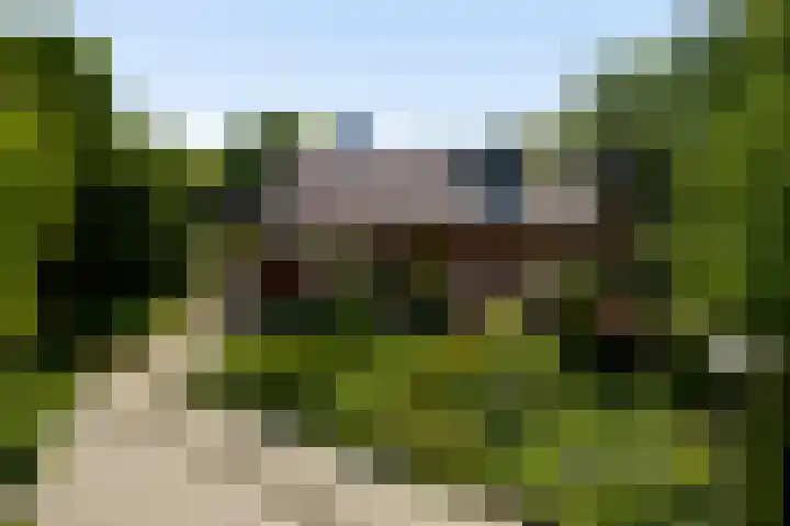 Belleboom 19 Roermond thumbnail 44