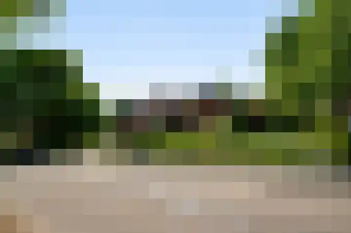 Belleboom 19 Roermond thumbnail 46