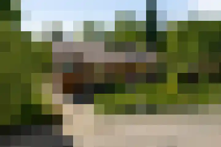 Belleboom 19 Roermond thumbnail 57