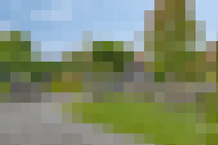 Bellefleur 102 Den Hoorn thumbnail 31