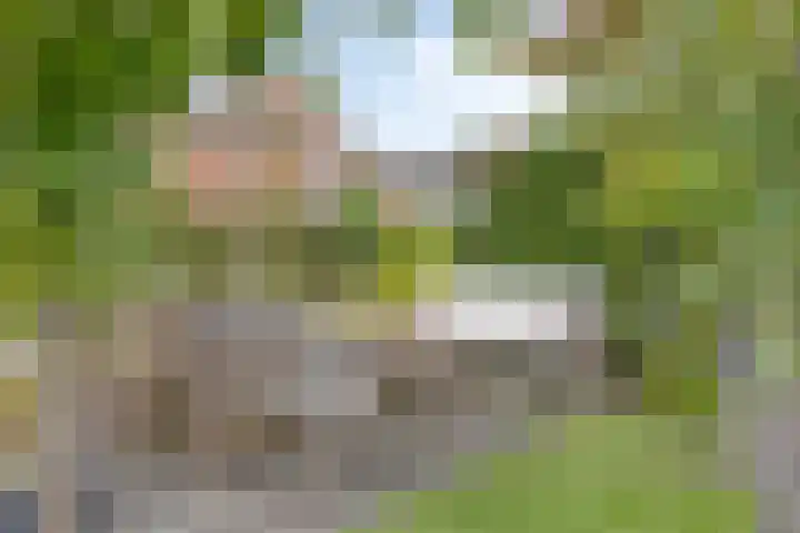 Bellefleur 102 Den Hoorn thumbnail 32