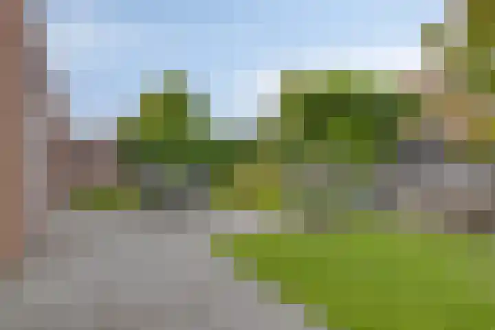 Bellefleur 102 Den Hoorn thumbnail 33