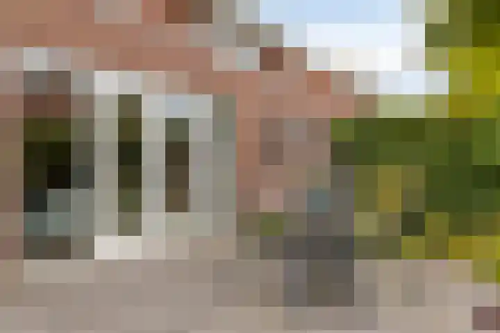Bellefleur 102 Den Hoorn thumbnail 37
