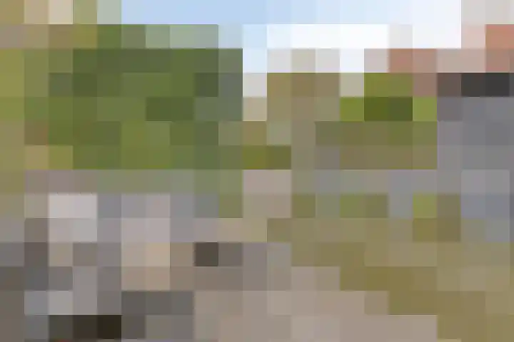 Bellefleur 102 Den Hoorn thumbnail 39
