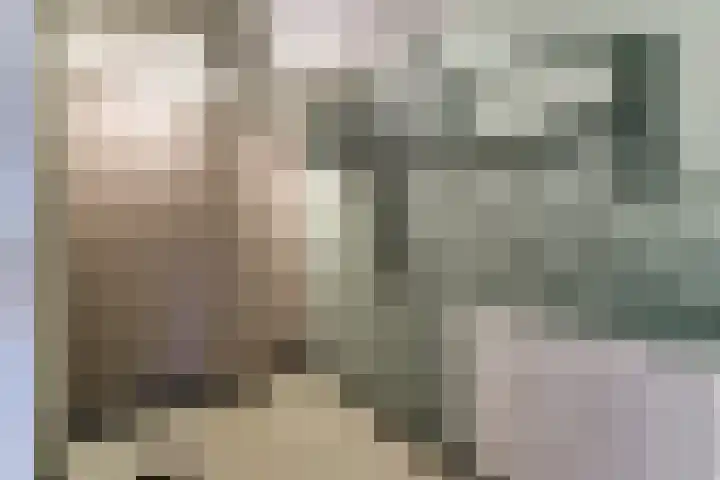 Bellefleur 11 Winkel thumbnail 12