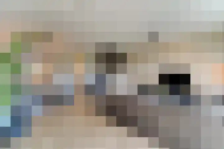 Bellefleur 11 Winkel thumbnail 25
