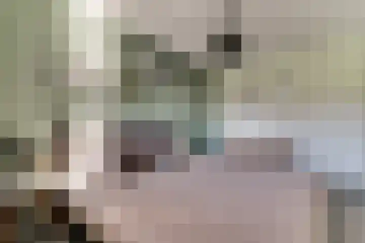 Bellefleur 11 Winkel thumbnail 34