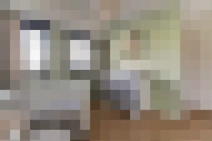 Bellefleur 11 Winkel thumbnail 36