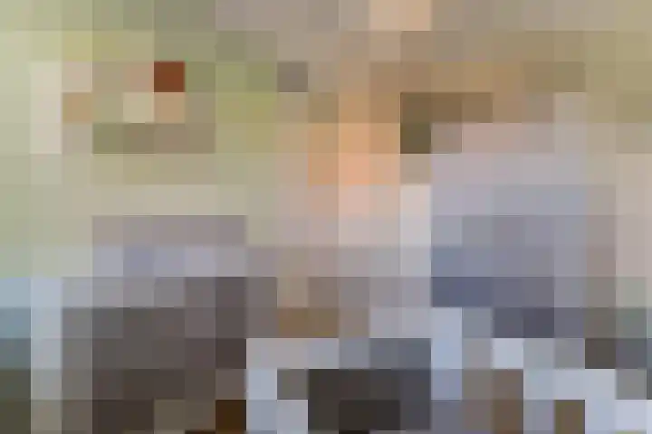 Bellefleur 11 Winkel thumbnail 38