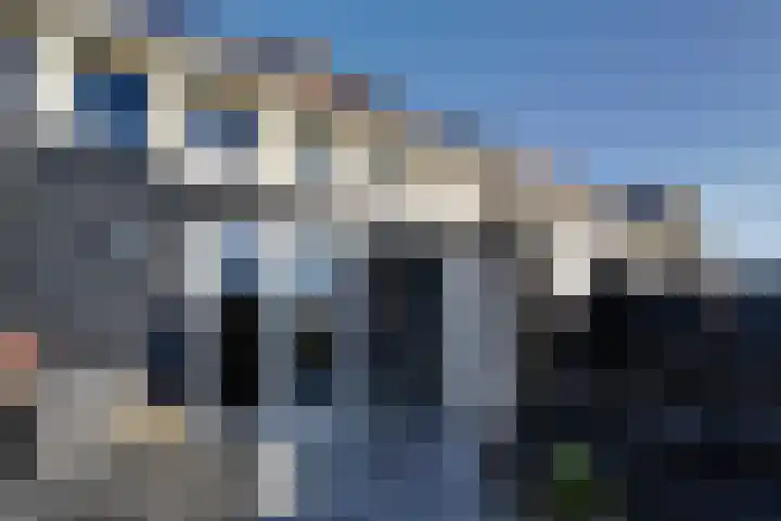 Bellefleur 11 Winkel thumbnail 50