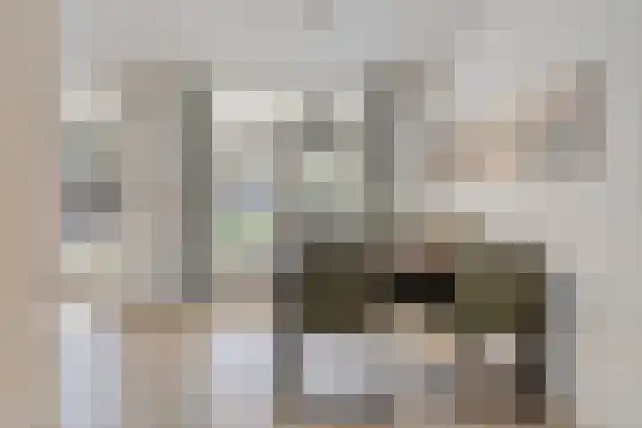 Bellefleur 111 Duiven thumbnail 17